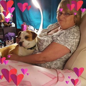 Meet your Posher, Wanda